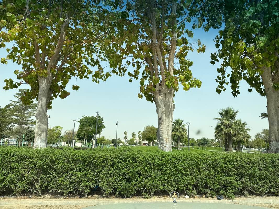 walking near me in Al Wakra Park in spring