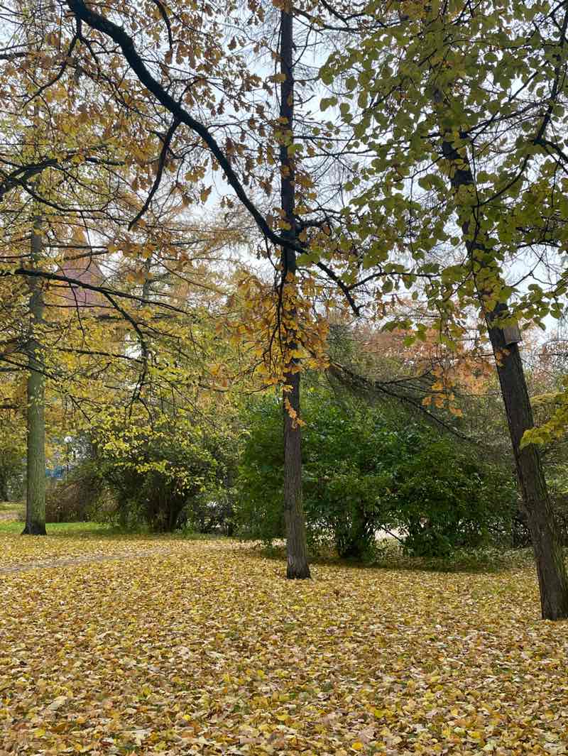 walking near me in Tornide väljak in autumn
