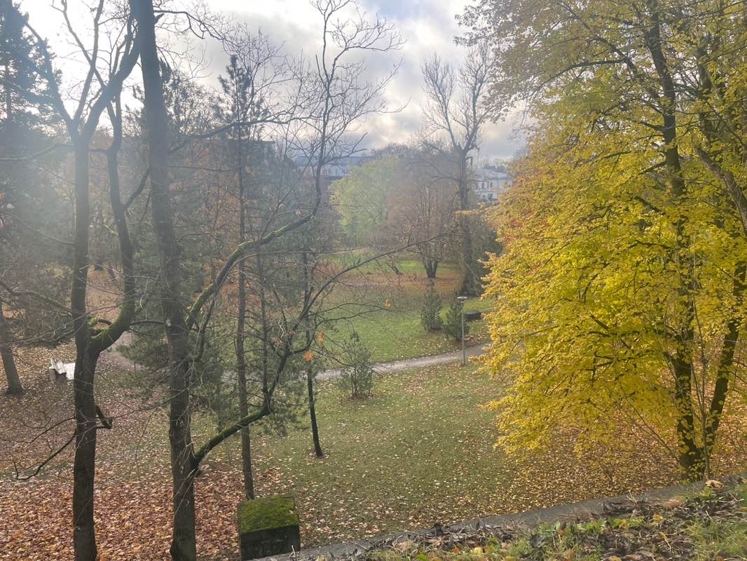 walking near me in Hirvepark in autumn