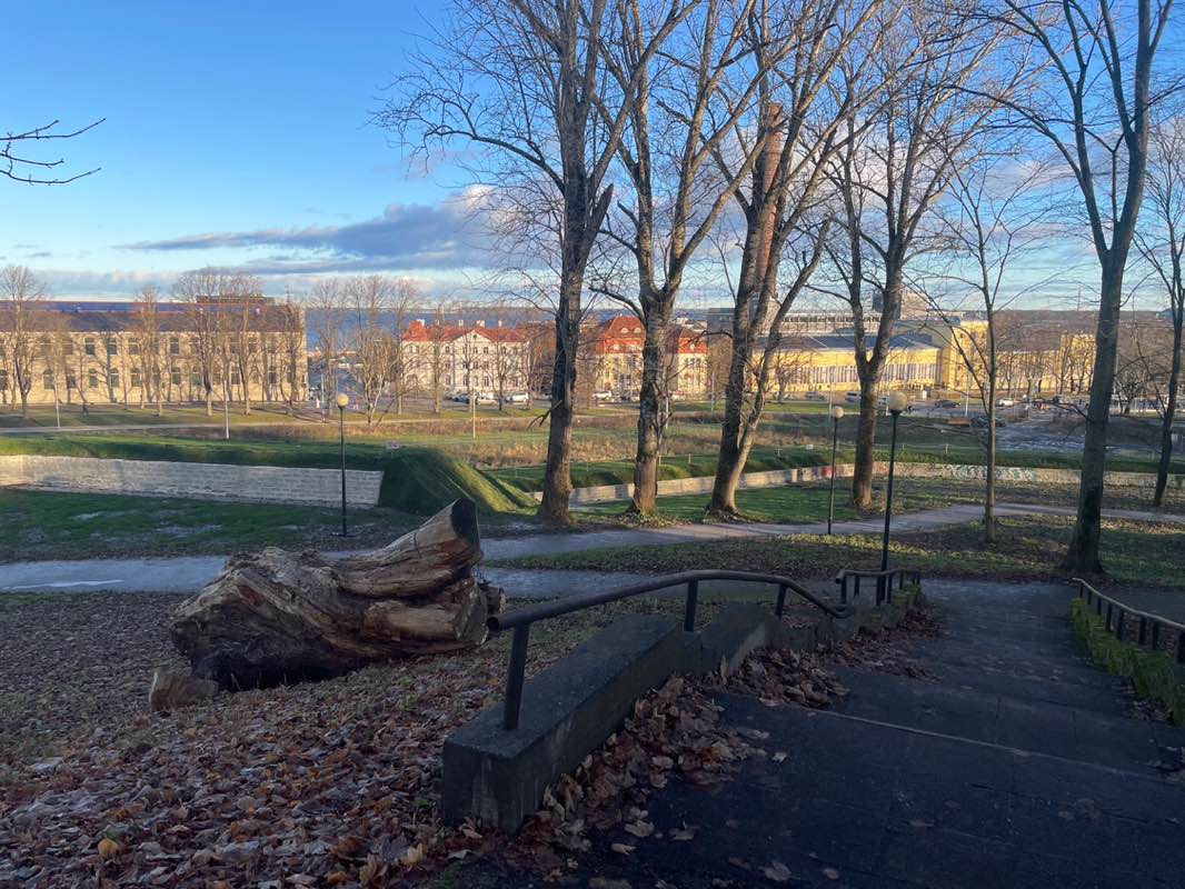 walking near me in Rannamägi in autumn