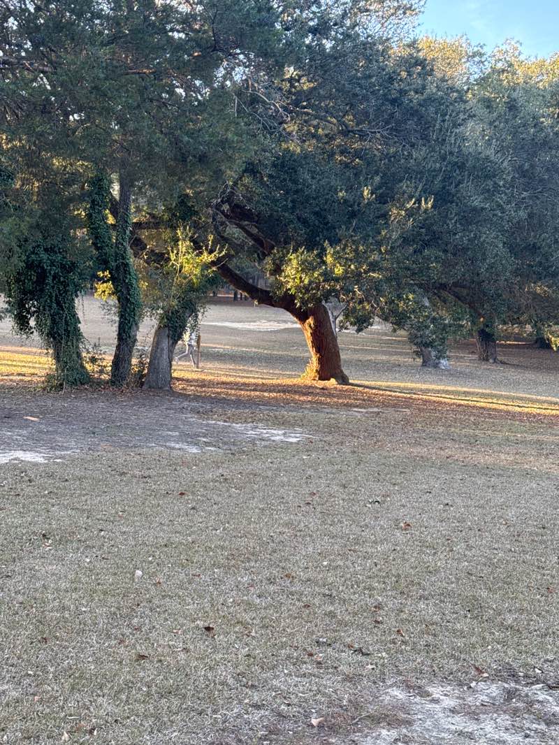 walking near me in Campbell House Grounds in autumn