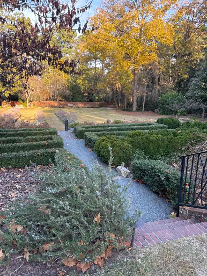walking near me in Weymouth Woods-Sandhills Nature Preserve in autumn