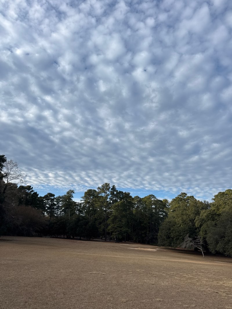 walking near me in Campbell House Grounds in winter