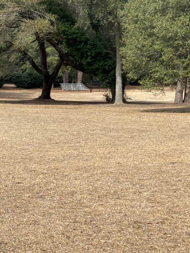 walking near me in Campbell House Grounds in spring