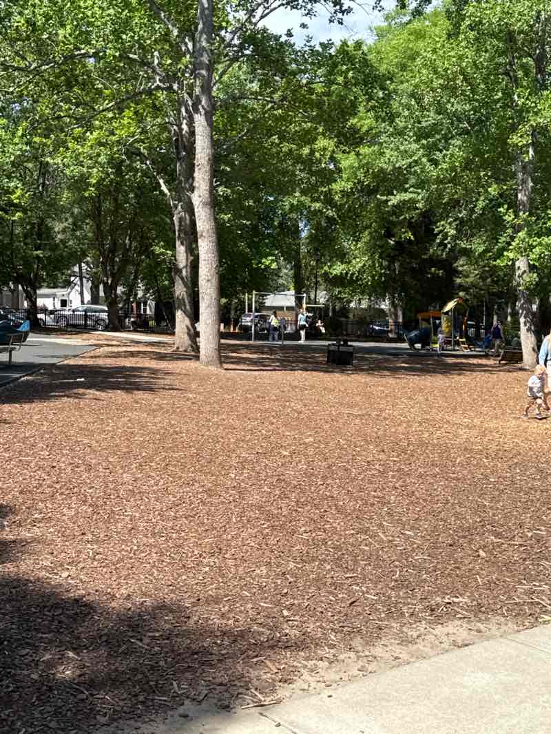 walking near me in Rainey Memorial Park in spring