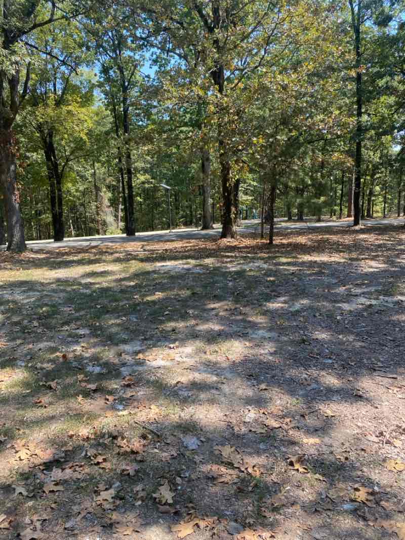 walking near me in Craighead Forest Park in autumn