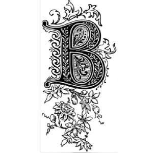 🍂 Вальдемара 🍁🌪️ profile