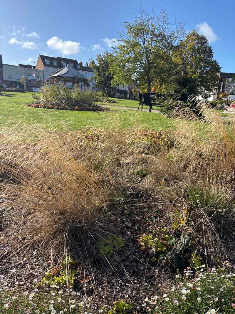 walking near me in Princes Gardens in autumn