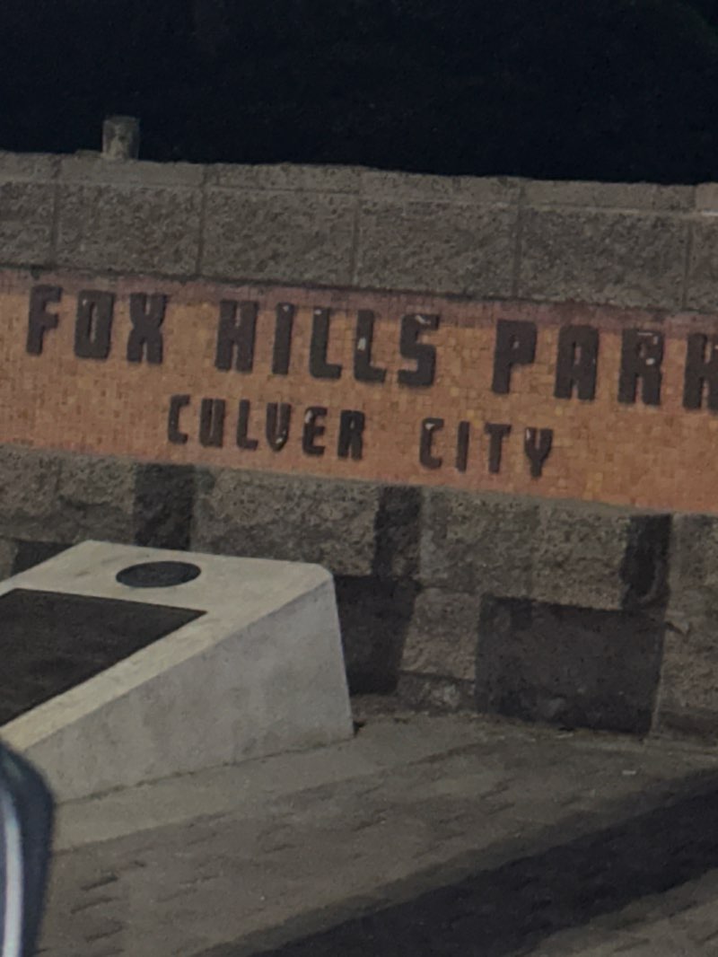 walking near me in Fox Hills Park in winter