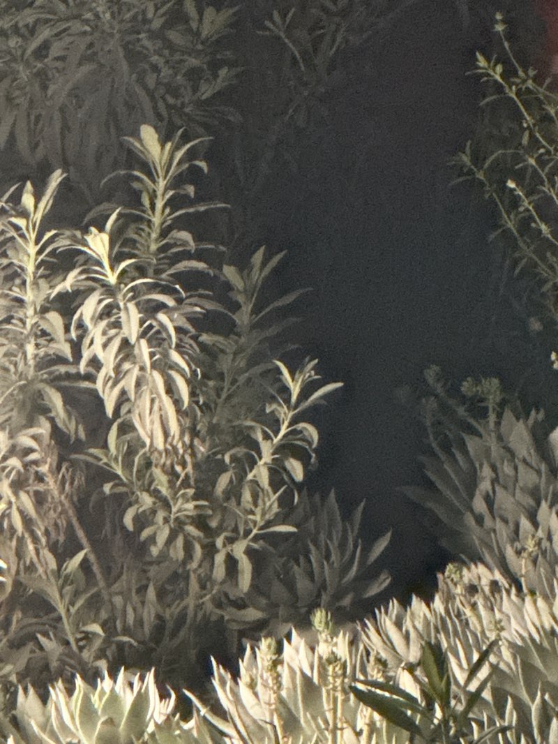 walking near me in Ishihara Park in winter