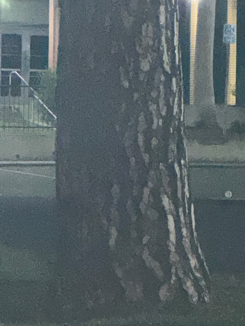 walking near me in Rogers Park in winter