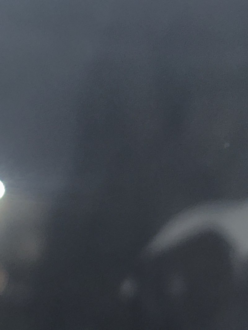 walking near me in McMaster Park in winter