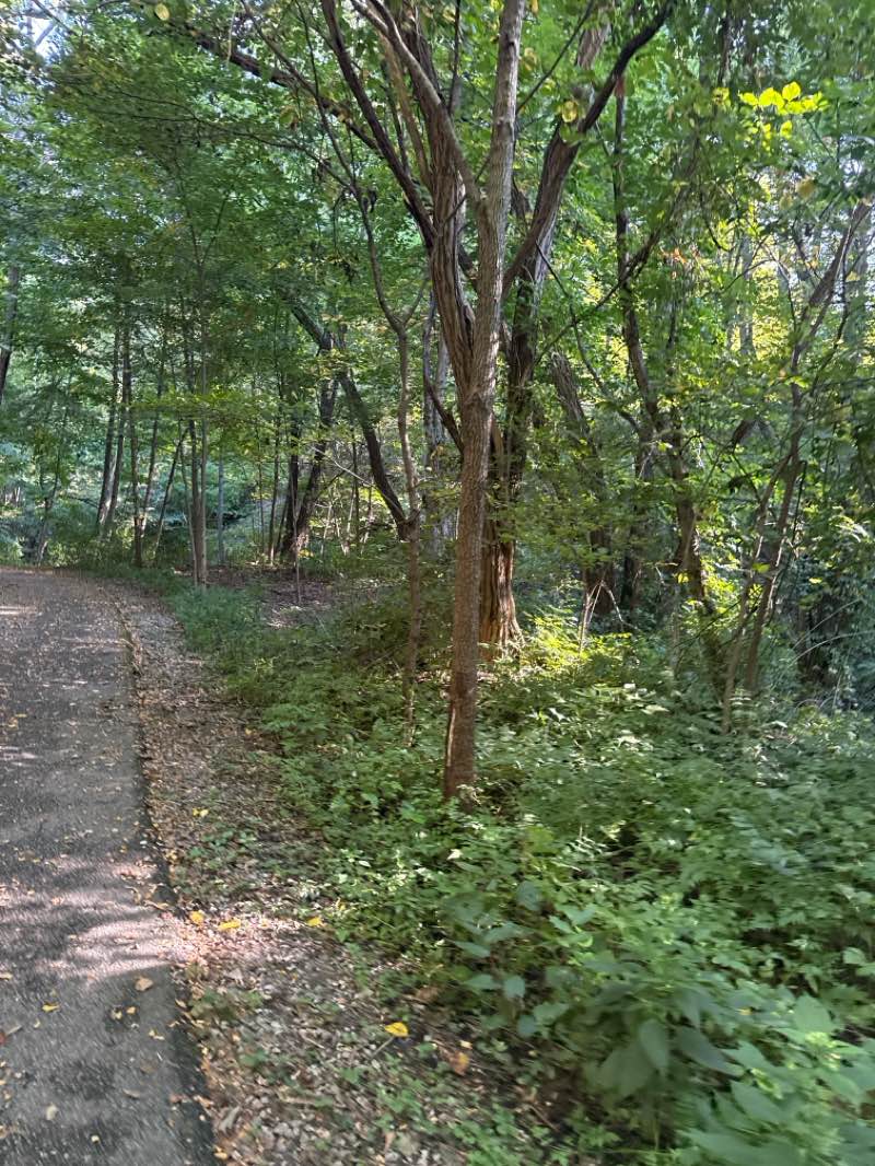 Happy Hollow Park