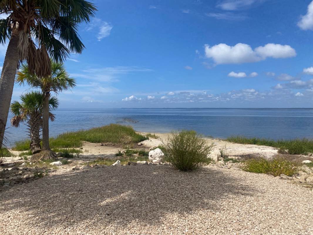 walking near me in Saint Marks National Wildlife Refuge in autumn