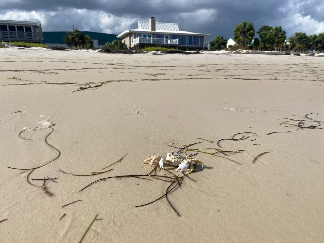 walking near me in Public Beach Access in summer