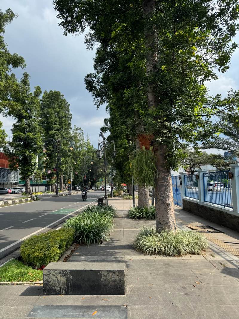 walking near me in Dago North Pedestrian Park 2 in spring