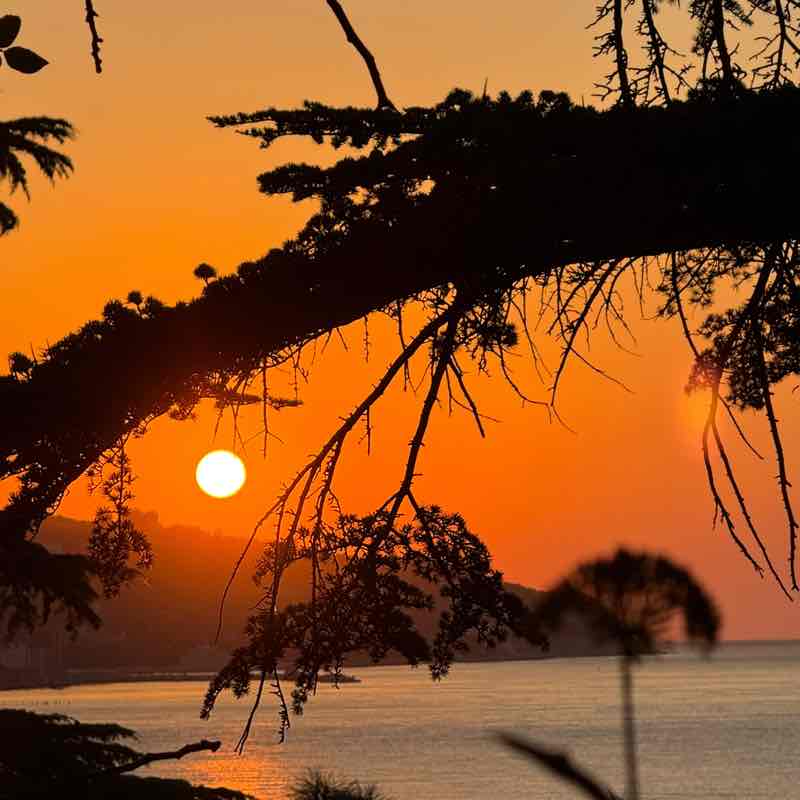 Просторы  Крыма 🍂 Dr. Nino post image