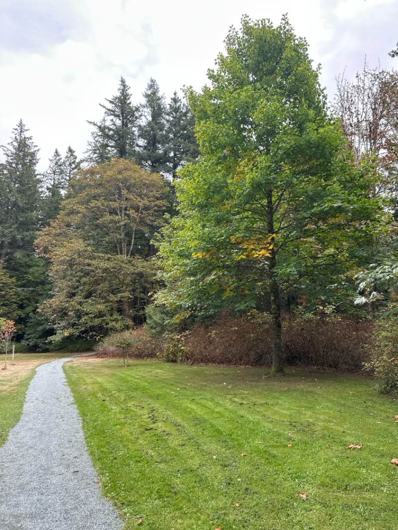 walking near me in Blackie Spit Park in autumn