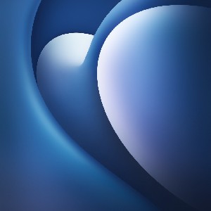 ALi/16170460 ☑️✅ profile