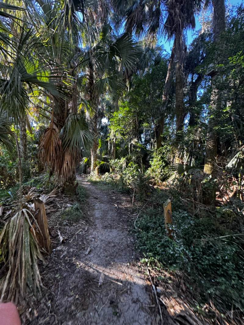 walking near me in Gilbert Park in autumn
