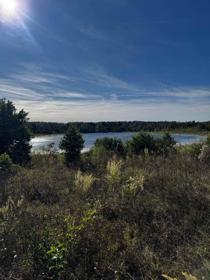 walking near me in Lake May in autumn
