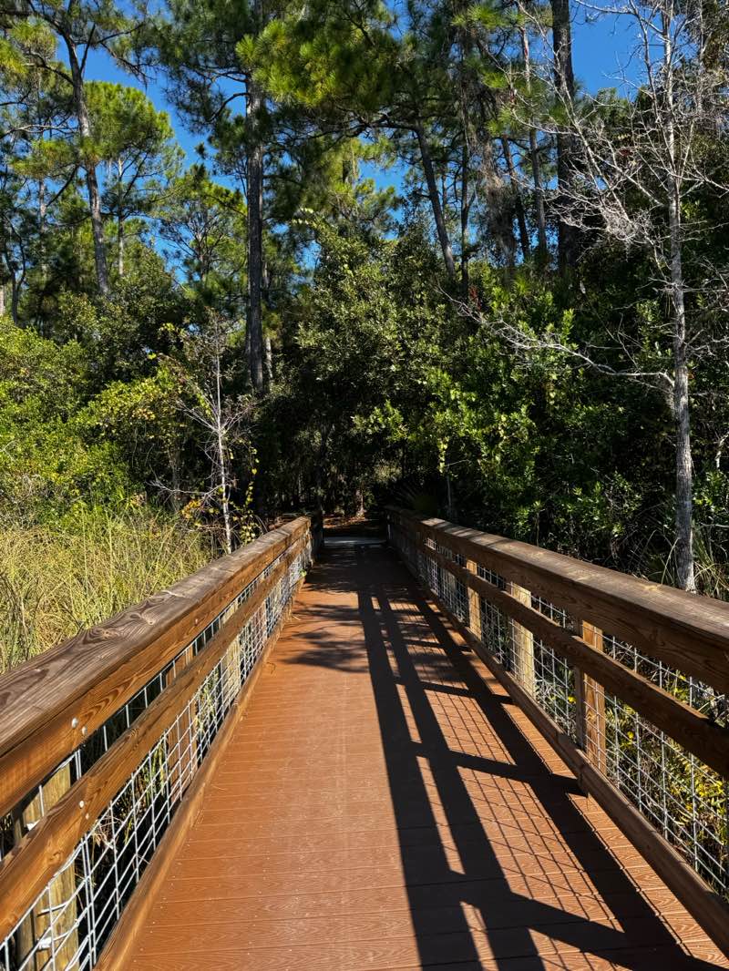 walking near me in Sylvan Lake Park in autumn