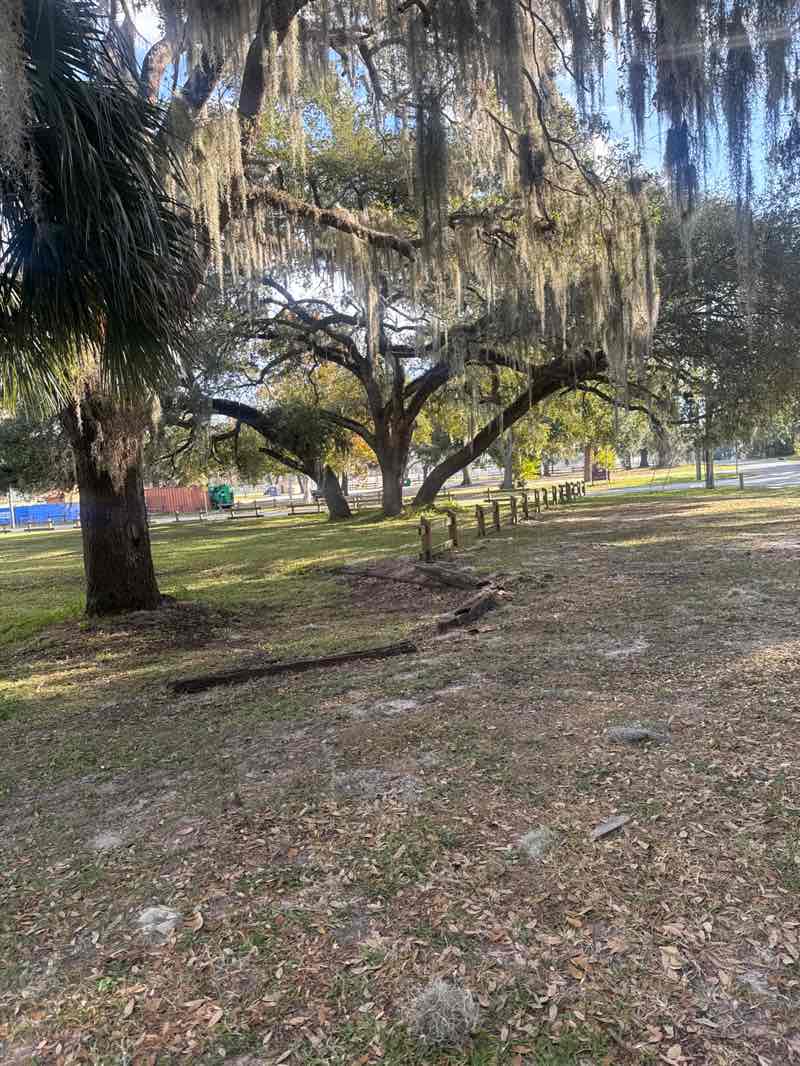 walking near me in Lincoln Avenue Community Park in autumn