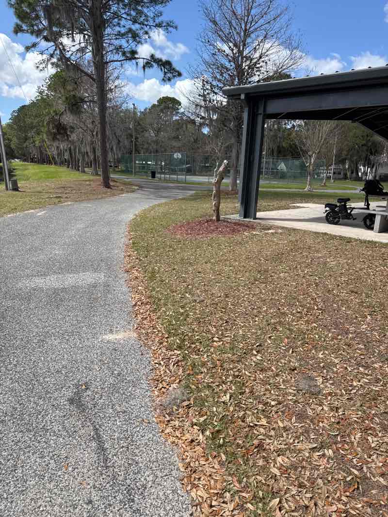 walking near me in Sunset Island in spring