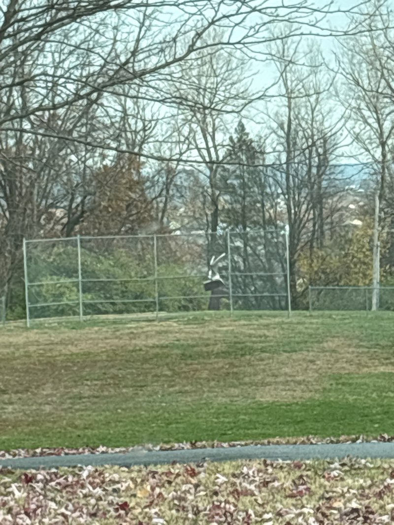 walking near me in Fox Hill Park in autumn