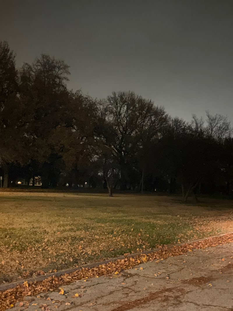 walking near me in Jones Park in autumn