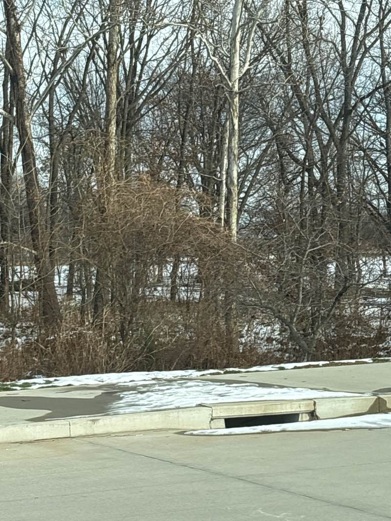 walking near me in City Centre Park in winter