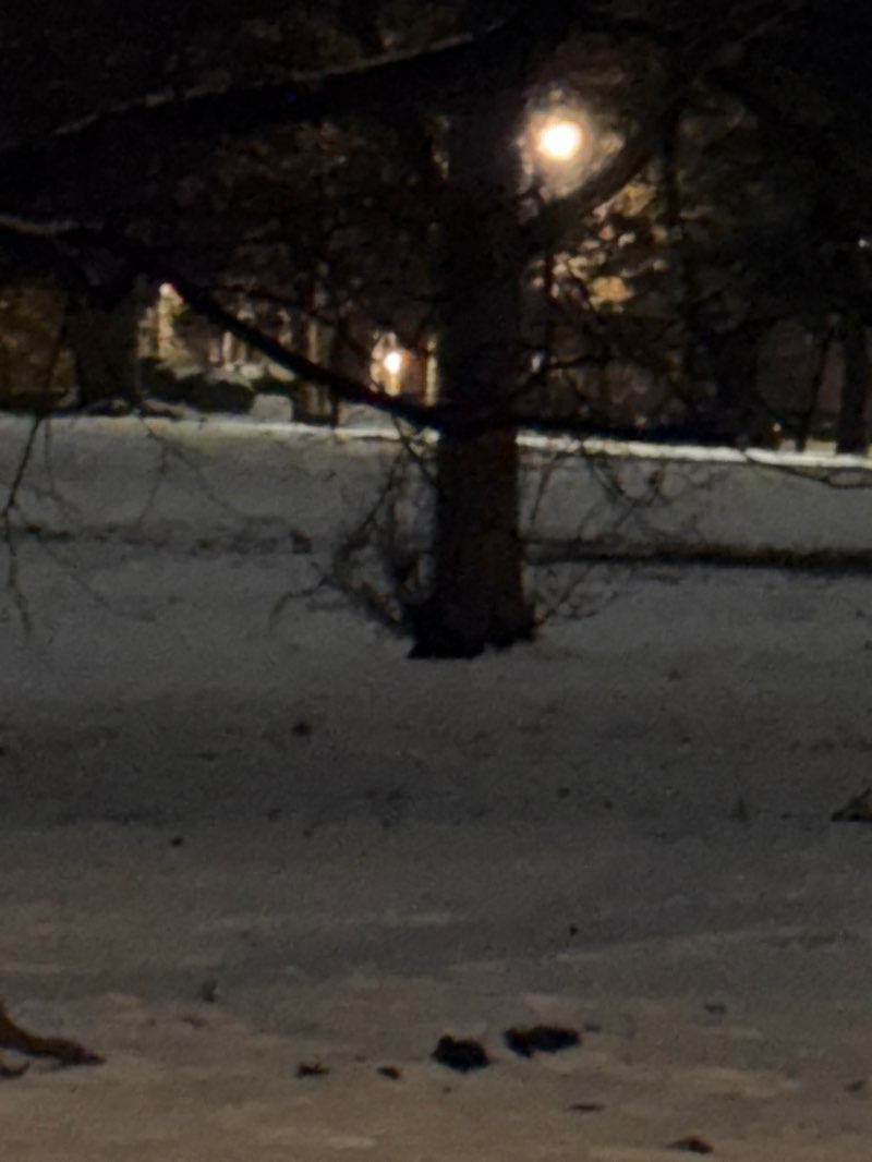 walking near me in Flynn Park in winter