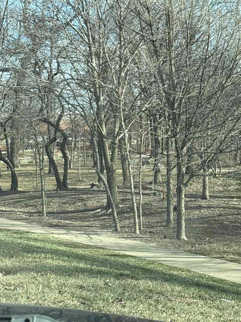 walking near me in City Centre Park in winter