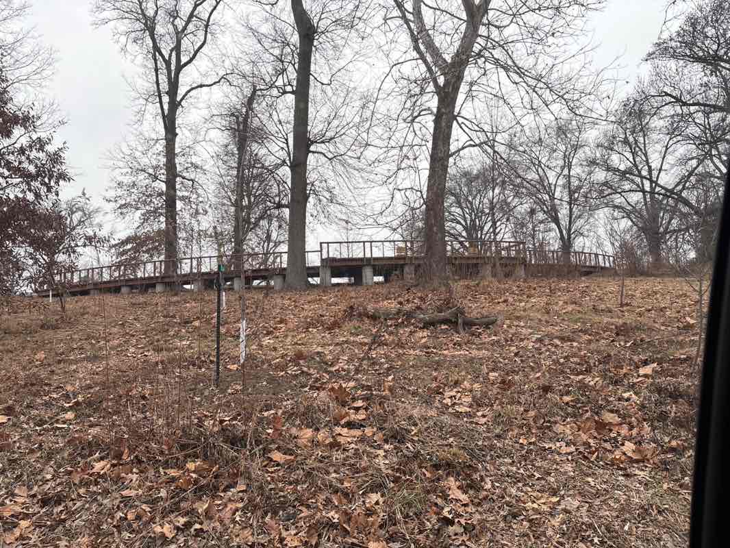 walking near me in Anne O’C. Albrecht Nature Playscape in winter