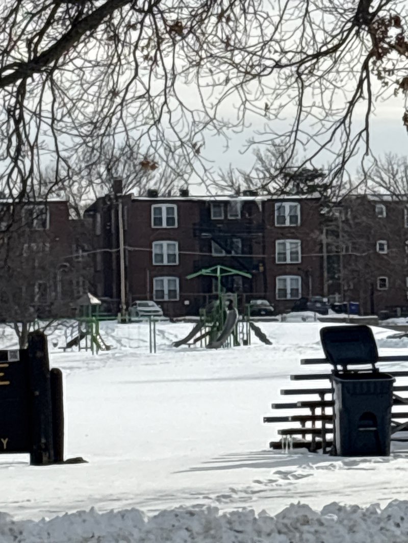 walking near me in Metcalfe Park in winter