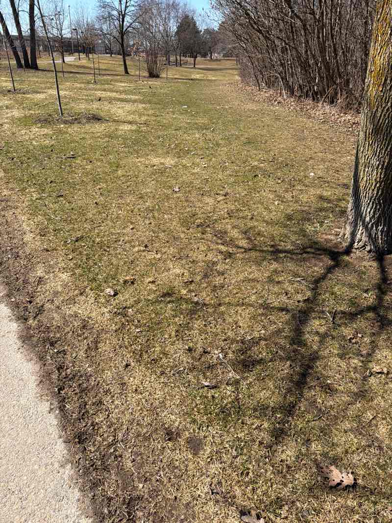 walking near me in Glengrove Park in spring