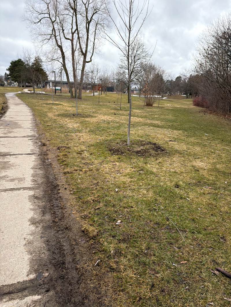 walking near me in Glengrove Park in spring