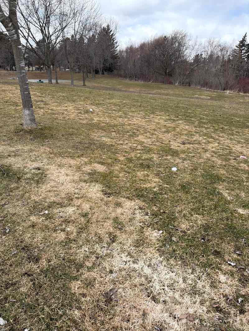 walking near me in David Farr Park in spring