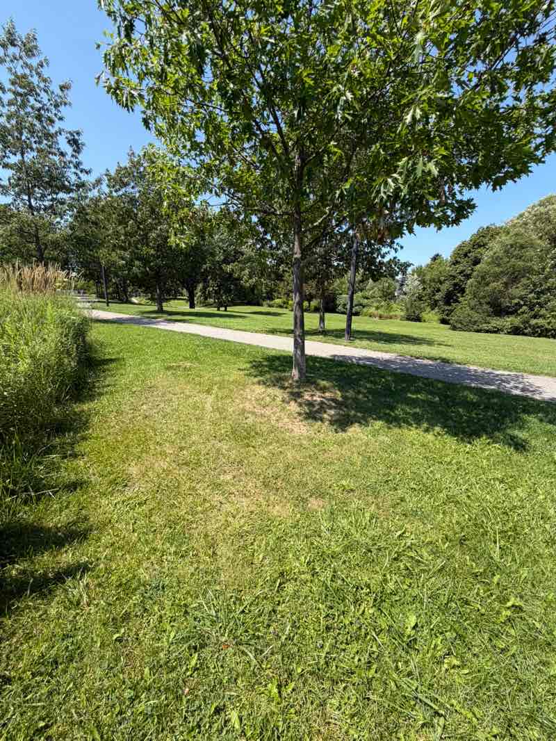walking near me in David Farr Park in summer