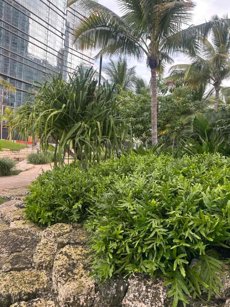 walking near me in Victoria Ward Park in autumn