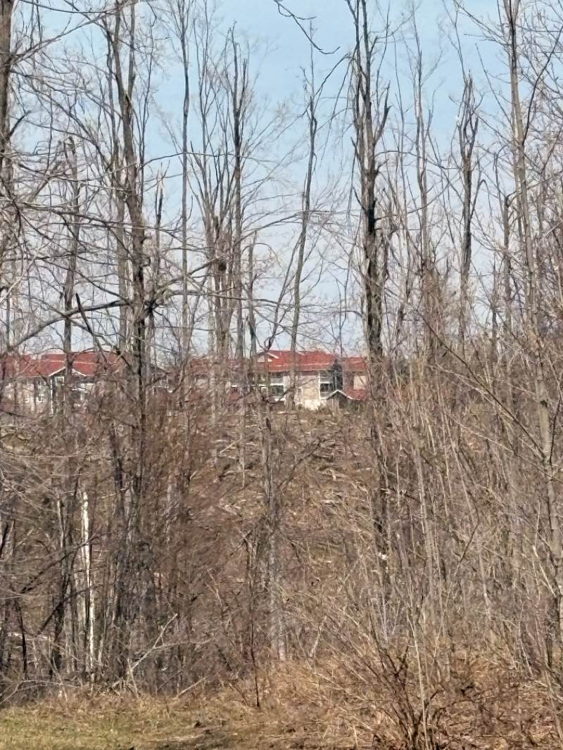 walking near me in Aspen Park in spring