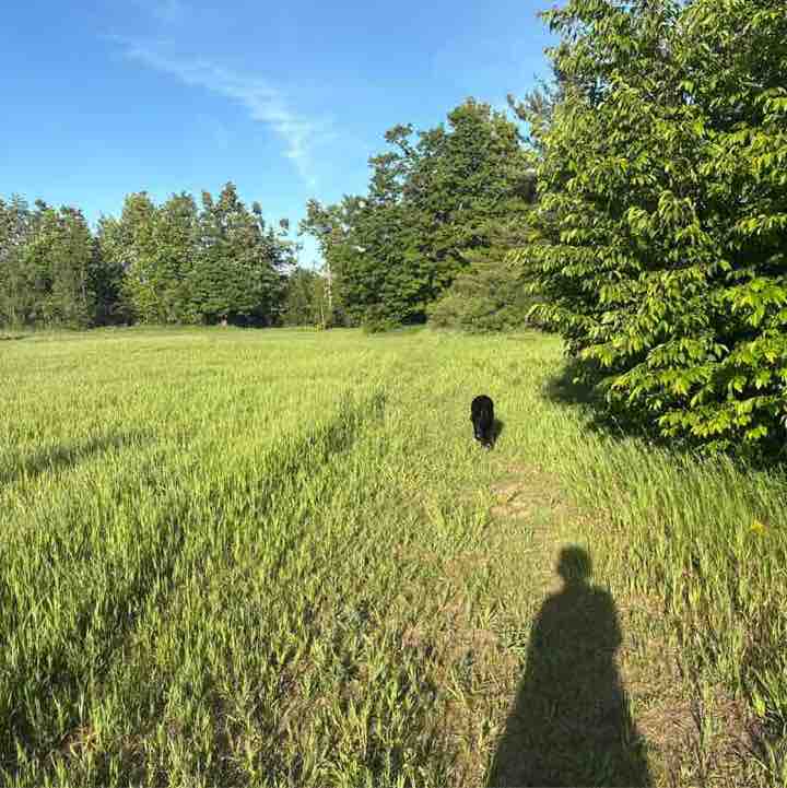 Nia Mtb post 1