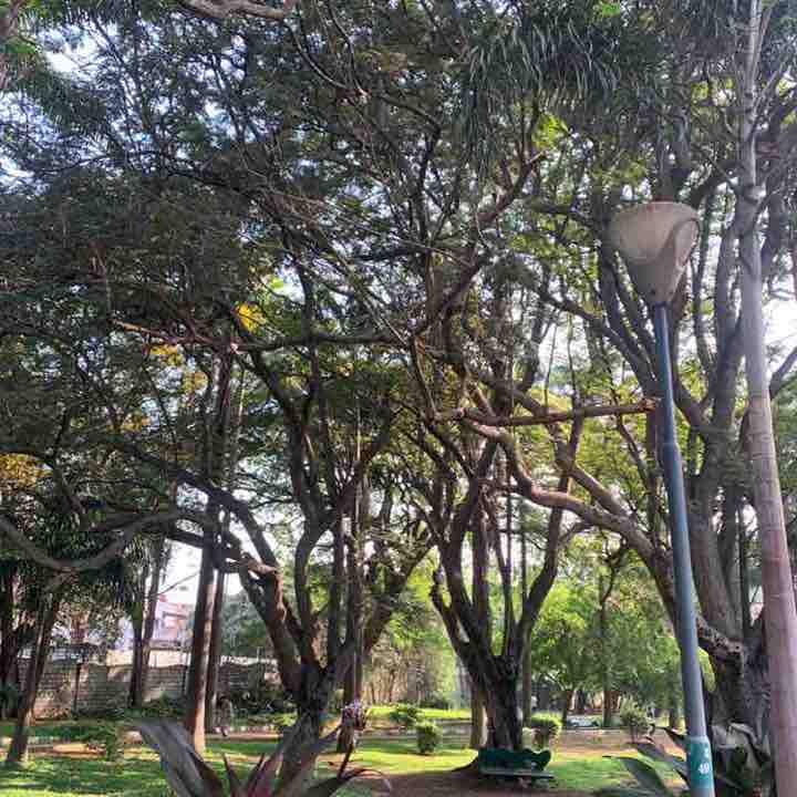 Badarinarayan post 1