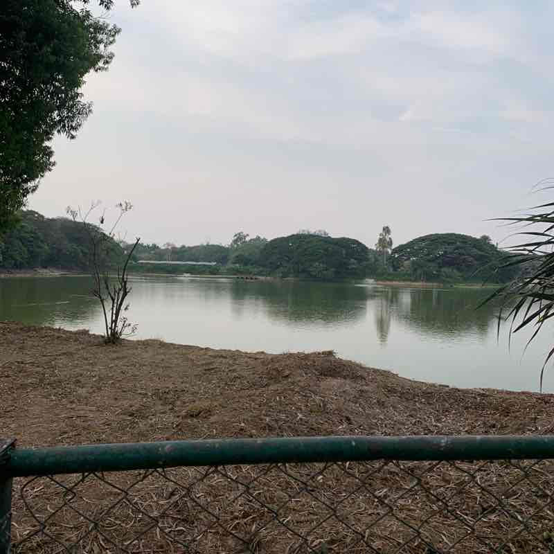 Badarinarayan post 1