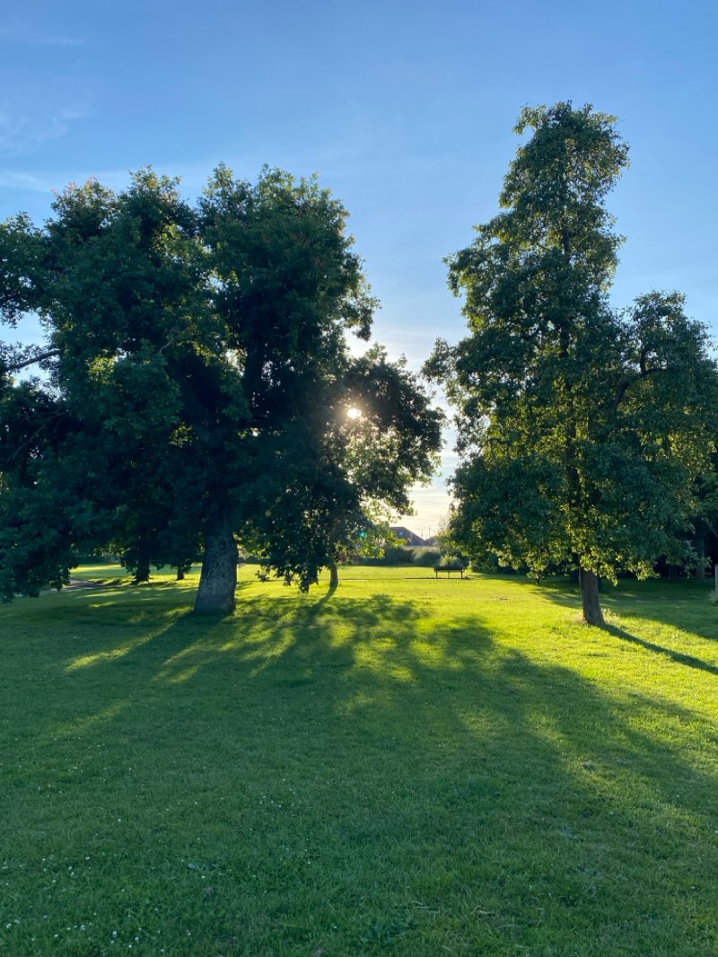 walking near me in Blackbrook Recreation Ground in summer