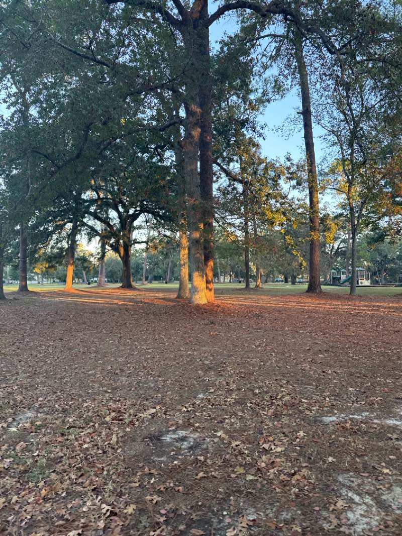 walking near me in Paradise Park in autumn