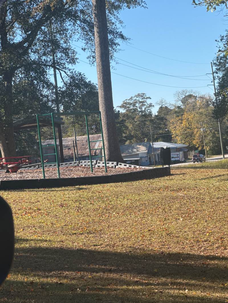 walking near me in Flipper Park in autumn