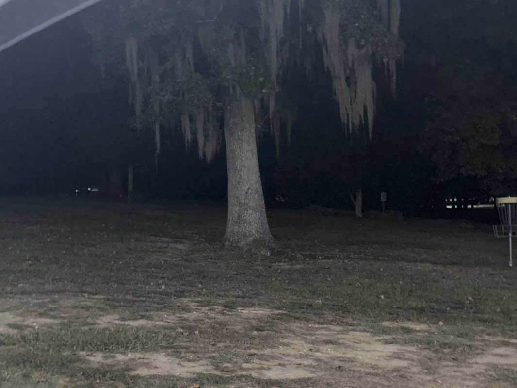 walking near me in McIntyre Park in autumn