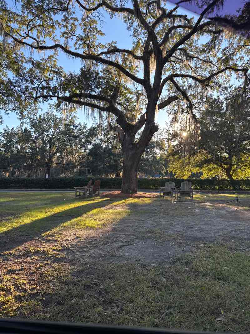 walking near me in Thomasville Cultural Center in autumn
