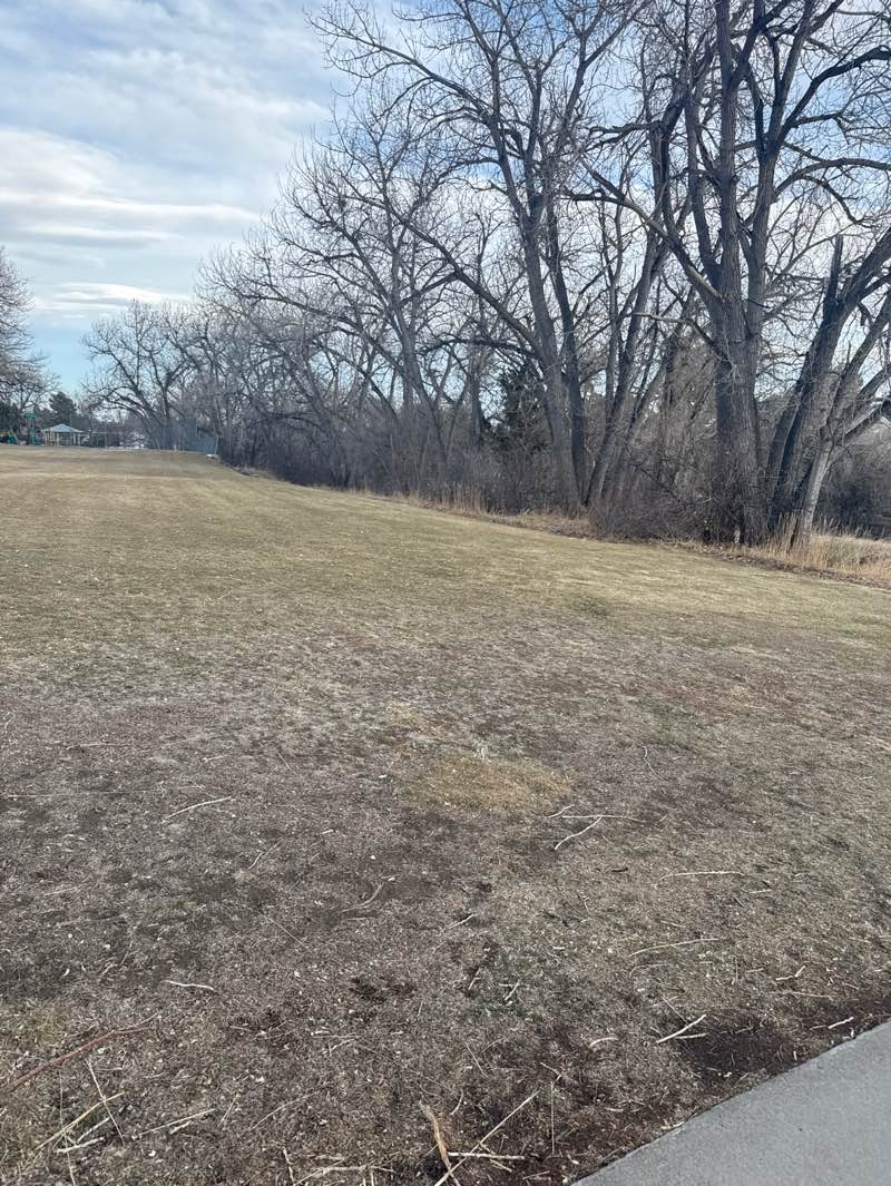 walking near me in Sutherland Shire Park in winter